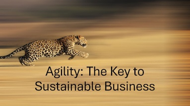 Navigating the Rapids: How Agility Creates a Sustainable Competitive Advantage in Business